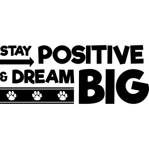 Stay Positive and Dream Big!