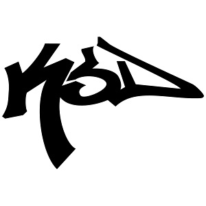 ksd logo