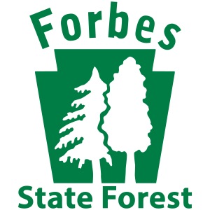 Forbes State Forest Keystone (w/trees)