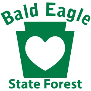 Bald Eagle State Forest Keystone Heart
