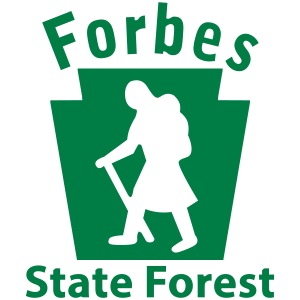 Forbes State Forest Keystone Hiker female