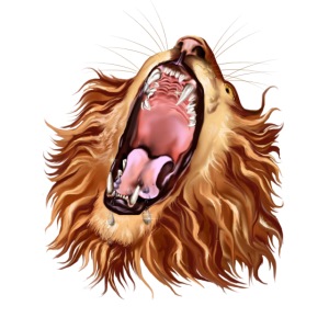 Lion's Face