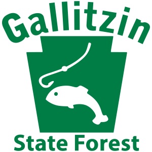 Gallitzin State Forest Fishing Keystone PA