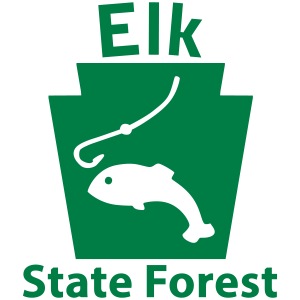 Elk State Forest Fishing Keystone PA