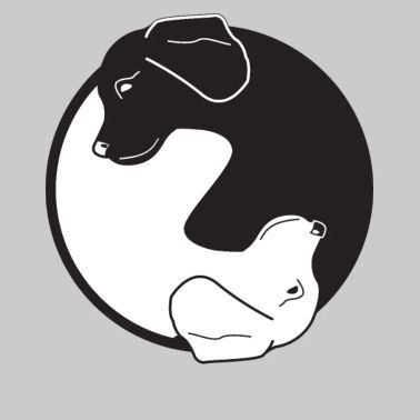 Blue Starburst Yin Yang Women S Jersey T Shirt Spreadshirt