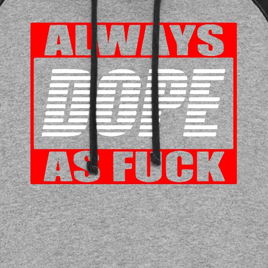 Always Dope Ty Ga L Il Wayne Rick Ros S Jordans Hi Unisex Colorblock Hoodie Spreadshirt