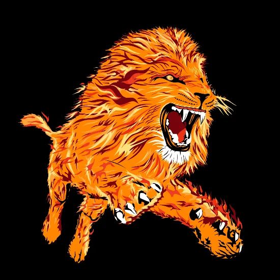 The Cool Lion On Fire Beanie Spreadshirt 34 cooly splashing water waves photos. the cool lion on fire beanie black