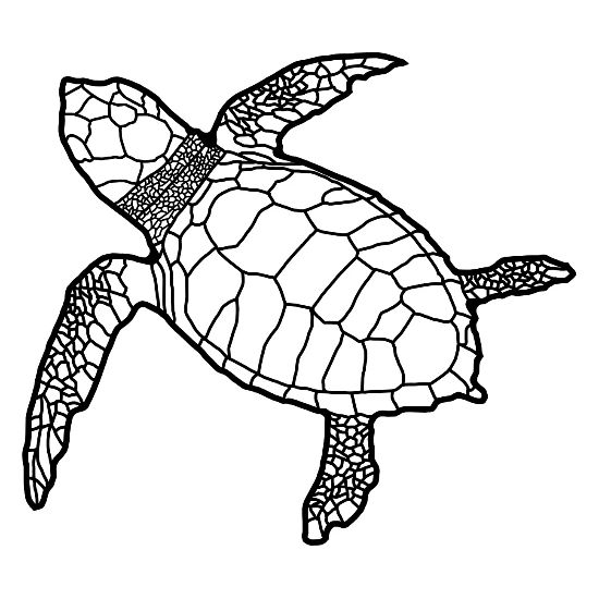 Bebe Tortue De Mer De Bali Kuta Beach Seychelles T Shirt Contrastant Homme Spreadshirt