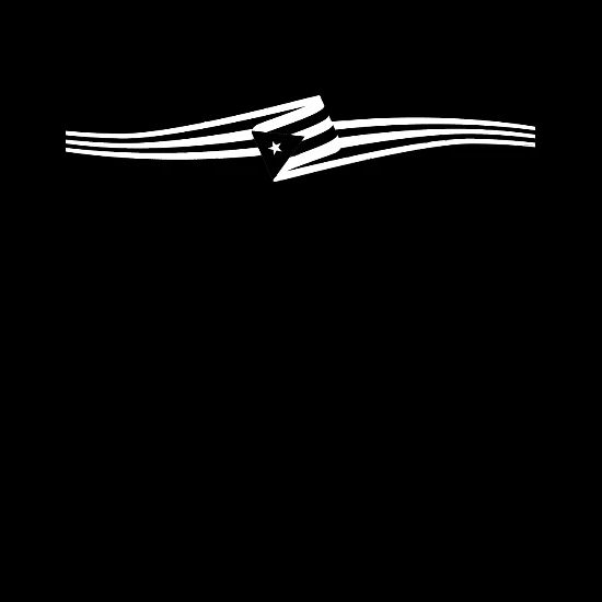 Puerto Rico Black Flag Premium Edition Car Flags Sports Outdoors Eudirect78 Eu