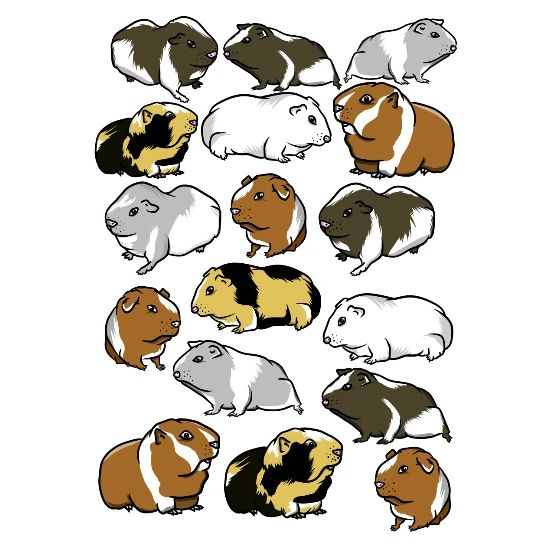 Cartoon Guinea Pig Pattern Iphone X Case Spreadshirt