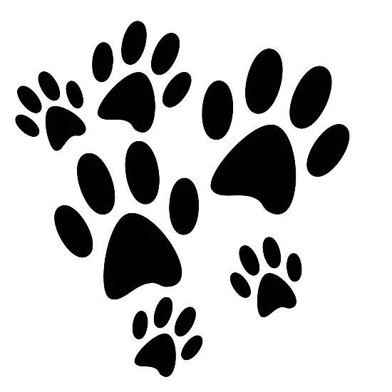 Black Cat Paws Big And Small Cool Paw Prints Iphone X Case Spreadshirt