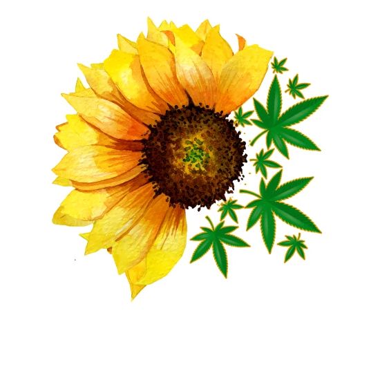 Free Free Sunflower Pot Leaf Svg 548 SVG PNG EPS DXF File