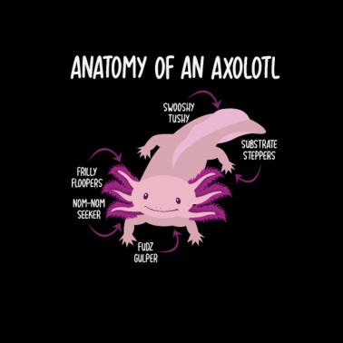 Funny Axolotl Mini Pocket Gift Aquarium Lovers Men S Premium T