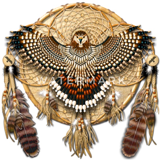 Hawk Spirit Dream Catcher Native American Indian Chief Hooded Sweatshirt Hoodie 