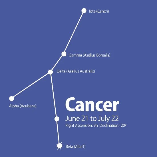 Cancer Constellation Men S T Shirt Spreadshirt