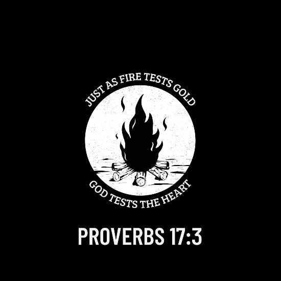 Fire Tests Gold Men S T Shirt Spreadshirt