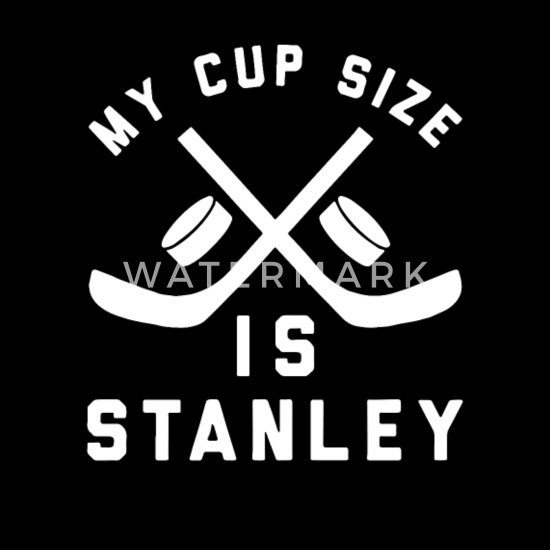My cup size is stanley