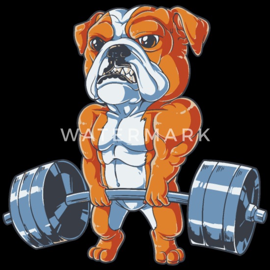 Bull Dog Shirt Mens Gym Exercise Workout Bull Dog Shirt