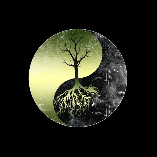 Nature Conservation Yin Yang Save Our Mother Earth Men S T Shirt