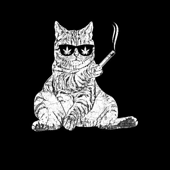 Le Chat Fume De La Dope A La Marihuana De L Herbe A Chicha T Shirt Homme Spreadshirt