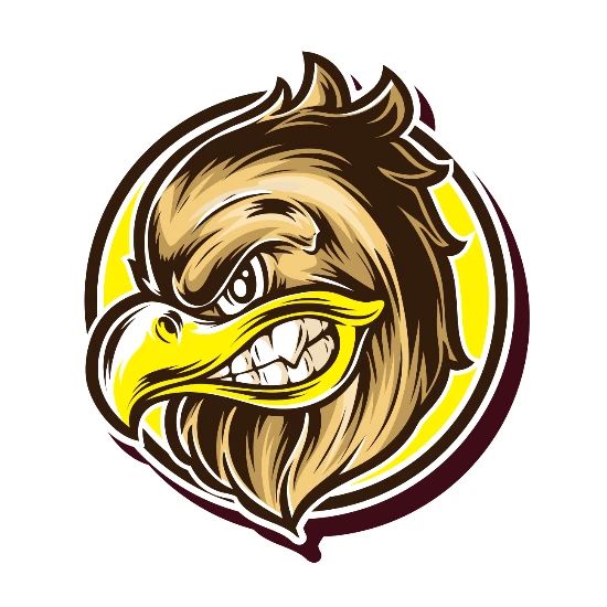 Eagle Cartoon Vector Angry Eagle Face Eagle Head Mug Spreadshirt