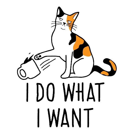 I Do What I Want Funny Cat Lovers Meme Coffee Atti Women S T Shirt Spreadshirt
