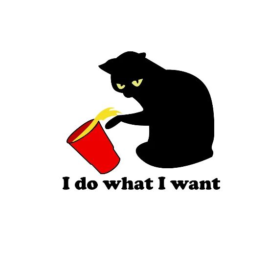 Cat Meme I Do What I Want Women S T Shirt Spreadshirt