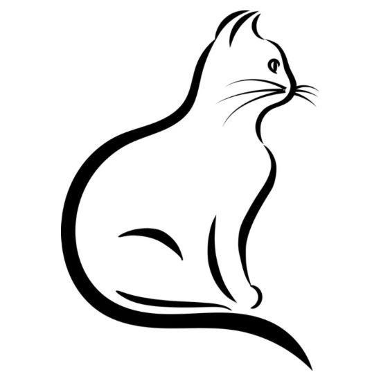 Chat Dessin Noir Blanc Chat Mignon T Shirt Femme Spreadshirt