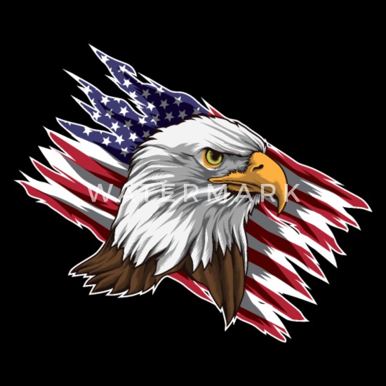 American Bald Eagle USA Wings Women's Tank Top US Flag Patriotic Tee