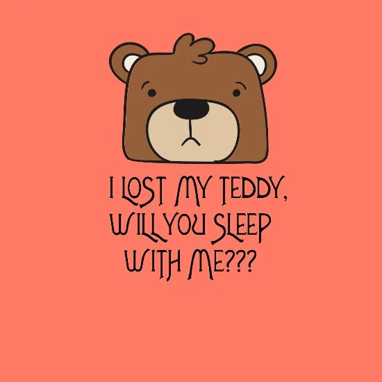 J Ai Perdu Mon Nounours Tu Vas Dormir Avec Moi T Shirt T Shirt Femme Spreadshirt