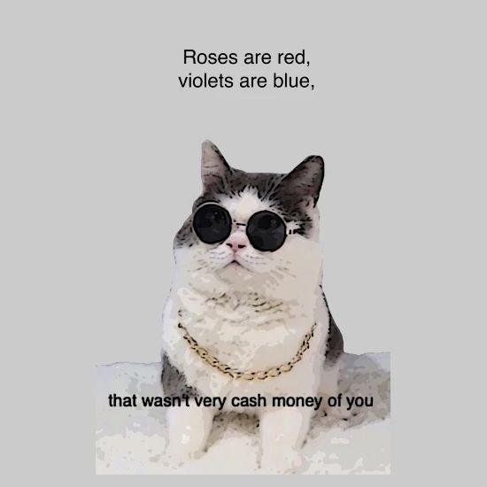 Cute Cat Internet Meme Cash Money Design Women S Hoodie Spreadshirt