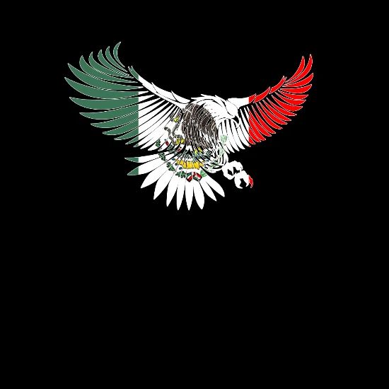 Flying Eagle Mexican Design Mexican Flag Design For Mexican Pride Outline Crewneck Sweatshirt Black