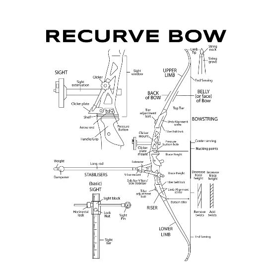 Recurve Bow Schematic Archery Blueprint Bow' Women's Scoop ...