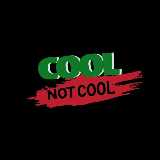 pix Dude Perfect Cool Not Cool Logo dude perfect cool not cool duffle bag black