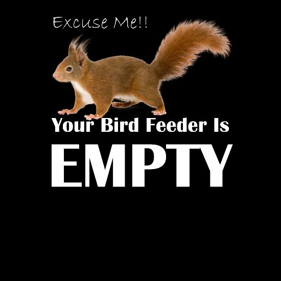 Funny Squirrel Excuse Me Bird Feeder Product Men S Tall T Shirt