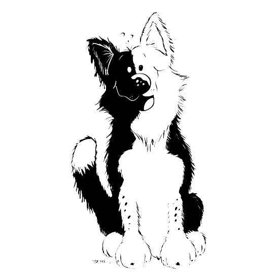 Border Collie Cartoon Fun Gift Collies Men S V Neck T Shirt