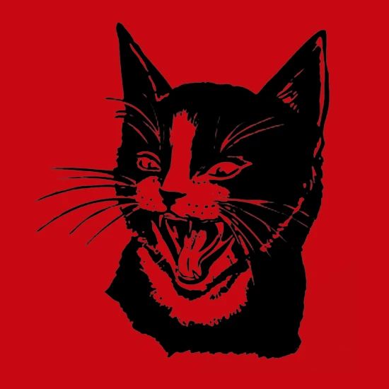Angry Cat Face Snap Back Baseball Cap Red
