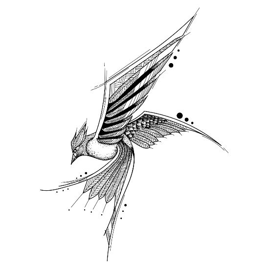 Oiseau Mouche Main Dessin Croquis Nature Image Forme T Shirt