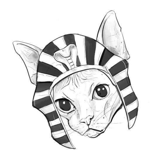 Egyptian Sphynx Cat Drawing Animal Tees Men S Premium T Shirt Spreadshirt