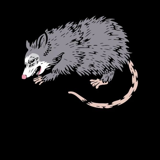 Stressed Possum Angry Rodent Screaming Opossum Men S Premium