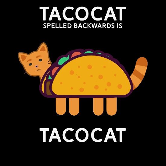 Tacocat Spelled Backwards Is Tacocat Shirt Men S Premium T Shirt Spreadshirt