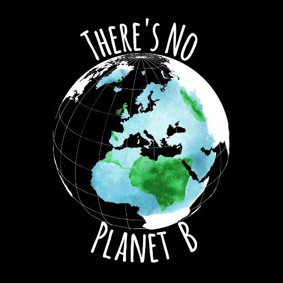 There S No Planet B T Shirt Men S Premium T Shirt Spreadshirt
