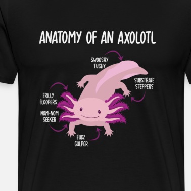 Sloth Riding Axolotl Funny Animal Shirt Women S Hoodie Dress