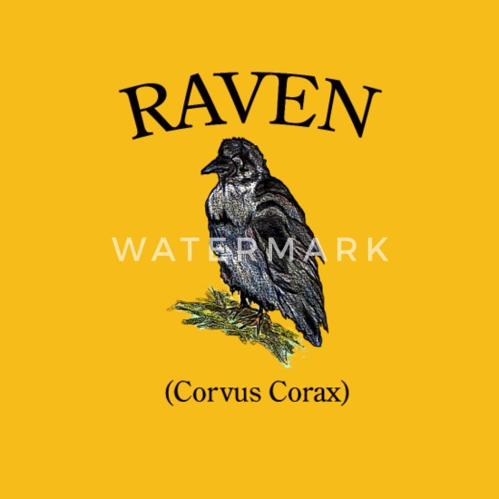 Crewneck S-3X  Bird Poe Vintage Animal Art Corvus Corax Raven Men's Sweatshirt 