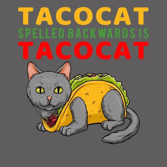 Taco Cat T Shirt Tacocat Spelled Backward Men S Premium T Shirt Spreadshirt