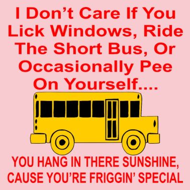 i-dont-care-if-you-lick-windows-ride-short-bus-womens-premium-t-shirt.jpg