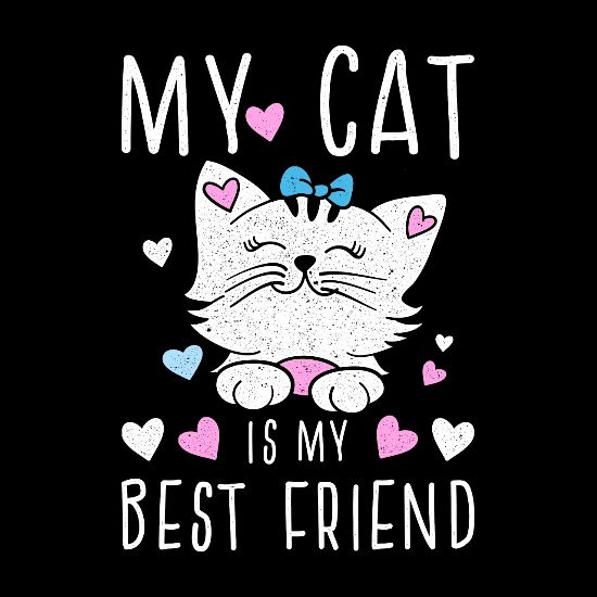 My Cat Is My Best Friend Kitten Gift Idea Women S Rolled Sleeve T Shirt Spreadshirt