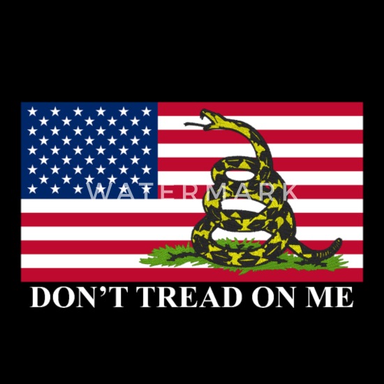 Custom Gadsden Snake T-Shirt Personalized Dont Tread on Me USA Flag All Colors