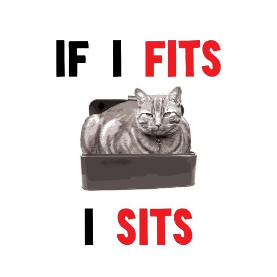 If I Fits I Sits Cat Meme Unisex Baseball T Shirt Spreadshirt
