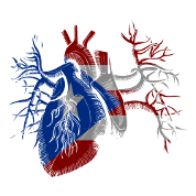 Puerto Rico Flag In Heart Iphone X Case Spreadshirt